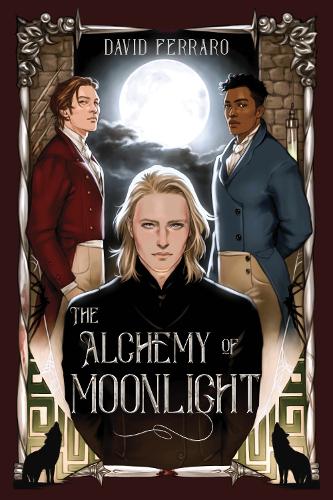 Бумажная книга «The Alchemy of Moonlight», автор Дэвид Ферраро - фото №1