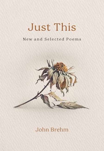 Бумажная книга «Just This: New and Selected Poems», автор Джон Брем - фото №1