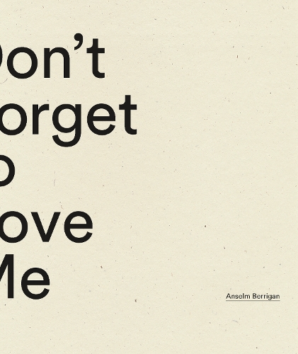 Бумажная книга «Don't Forget to Love Me», автор Ансельм Берриган - фото №1