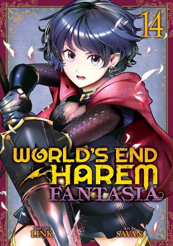 Бумажная книга «World's End Harem. Fantasia. Volume 14», автор Link - фото №1