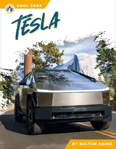 Паперова книга «Tesla», автор Далтон Рейнс - фото №1