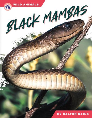 Бумажная книга «Black Mambas», автор Далтон Рейнс - фото №1