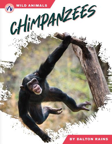 Бумажная книга «Chimpanzees», автор Далтон Рейнс - фото №1