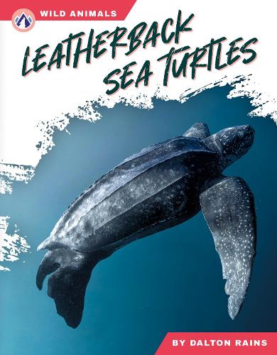 Бумажная книга «Leatherback Sea Turtles», автор Далтон Рейнс - фото №1