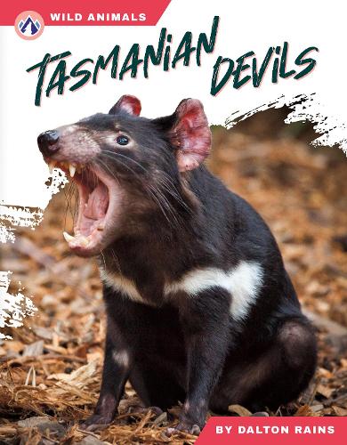 Бумажная книга «Tasmanian Devils», автор Далтон Рейнс - фото №1