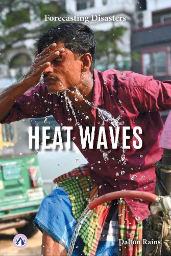 Паперова книга «Heat Waves», автор Далтон Рейнс - фото №1