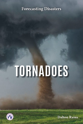 Паперова книга «Tornadoes», автор Далтон Рейнс - фото №1
