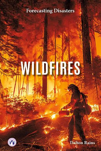 Паперова книга «Wildfires», автор Далтон Рейнс - фото №1