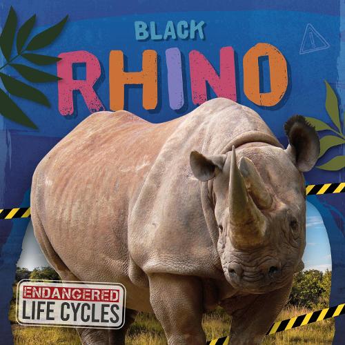 Бумажная книга «Black Rhino», автор Э. К. Эндрюс - фото №1