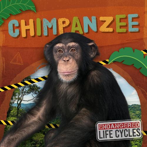 Бумажная книга «Chimpanzee», автор Э. К. Эндрюс - фото №1