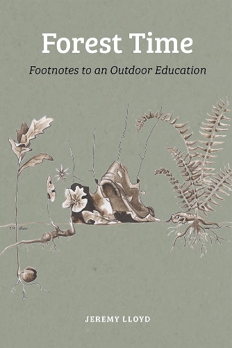 Бумажная книга «Forest Time: Footnotes to an Education Outdoors», автор Джереми Ллойд - фото №1