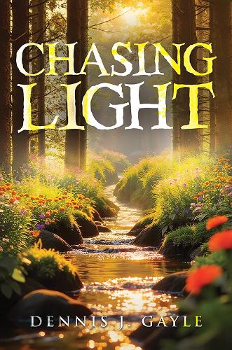 Бумажная книга «Chasing Light», автор Деннис Дж. Гейл - фото №1