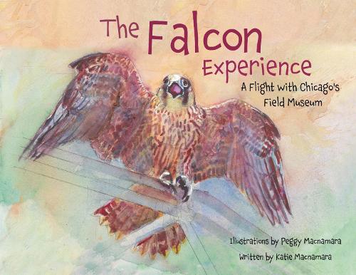 Бумажная книга «The Falcon Experience: A Flight with Chicago's Field Museum», автор Пегги Макнамара - фото №1