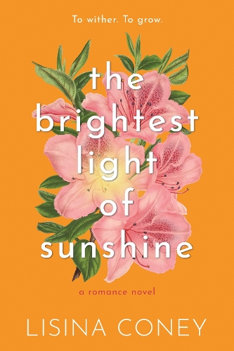 Паперова книга «Brightest Light of Sunshine», автор Лісіна Коні - фото №1