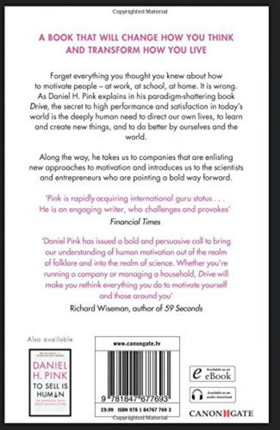 Бумажная книга «Drive: The Surprising Truth About What Motivates Us», автор Дэниел Пинк - фото №1