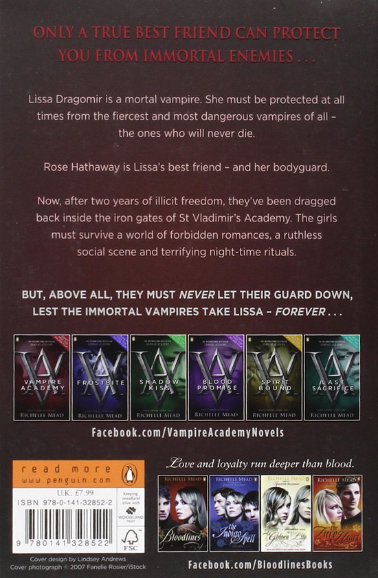 Паперова книга «Vampire Academy. Book 1», автор Райчел Мід - фото №1