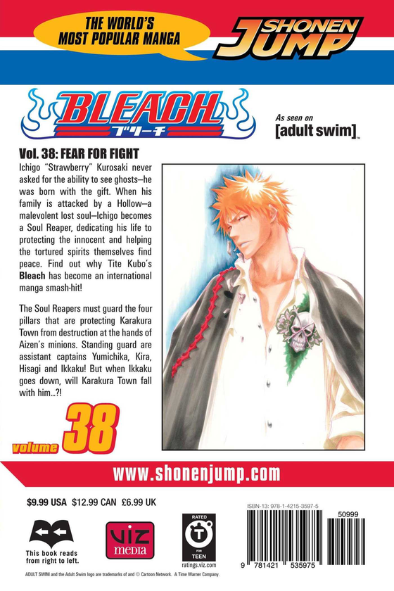 Бумажная книга «Bleach. Volume 38», автор Тайто Кубо - фото №1