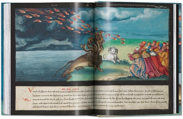 Бумажная книга «The Book of Miracles», автор Тилль-Хольгер Борхерт - фото №1