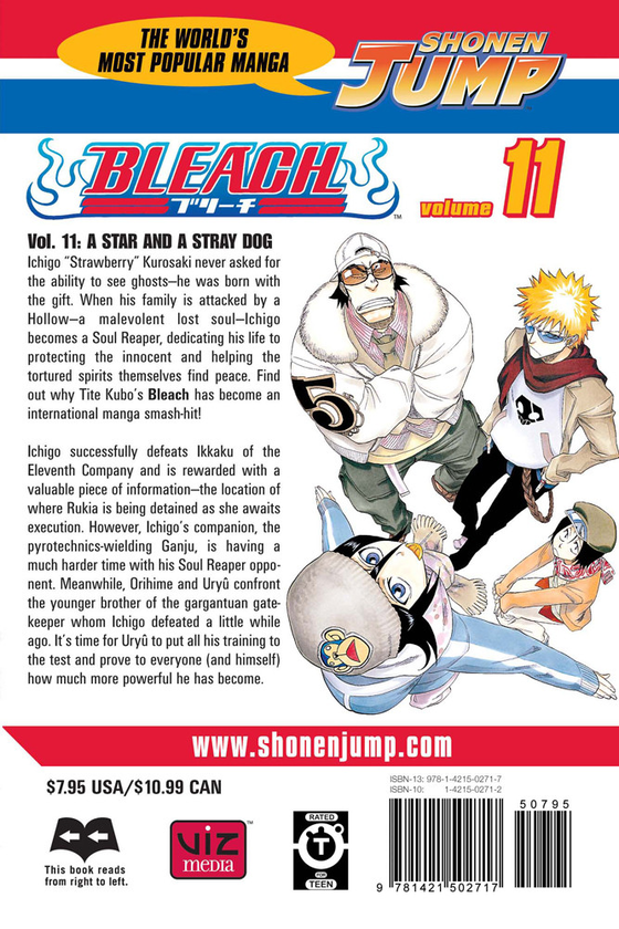 Паперова книга «Bleach. Volume 11», автор Тайто Кубо - фото №1