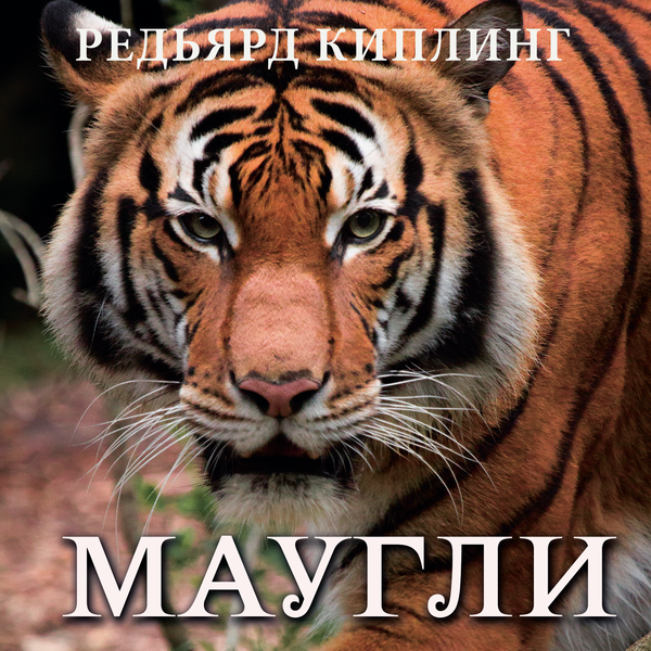 Аудиокнига «Маугли» – Редьярд Киплинг – Купить И Скачать В Mp3.