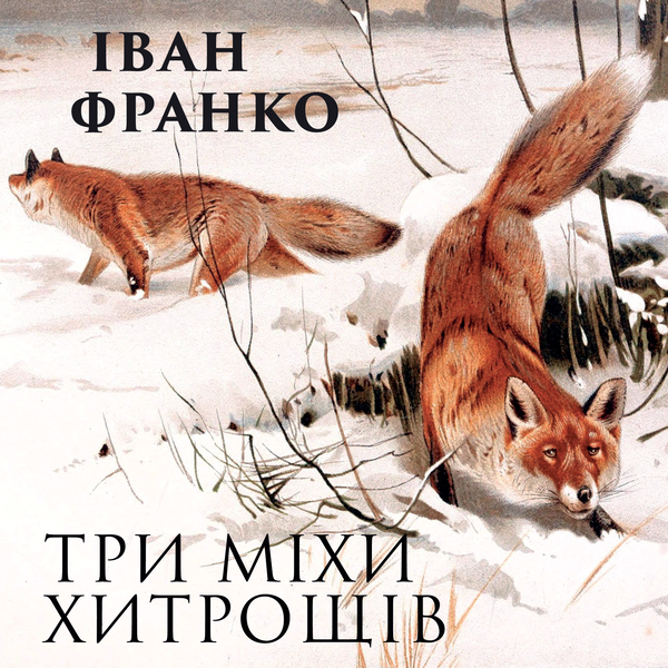 Аудиокнига «Три міхи хитрощів», автор Иван Франко - фото №1