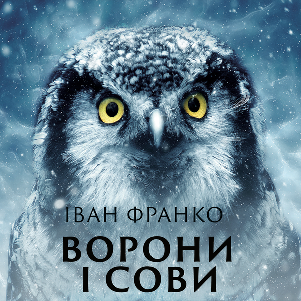 Ворони і сови