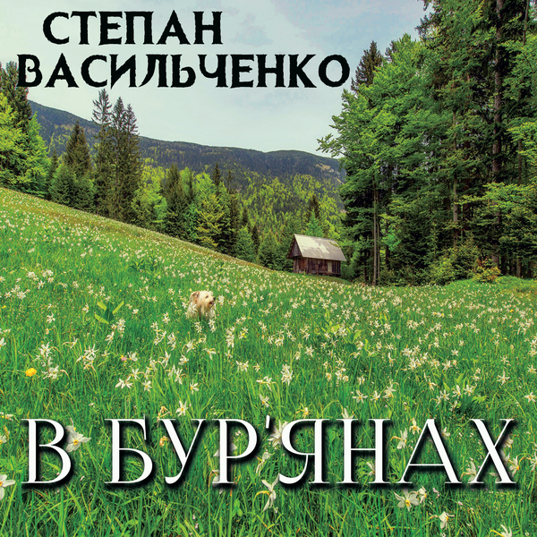 Аудиокнига «В бур'янах», автор Степан Васильченко - фото №1