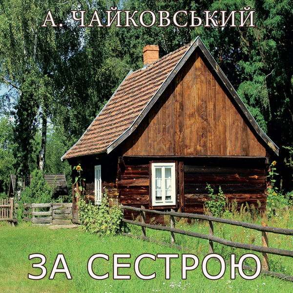Аудиокнига «За сестрою», автор Андрей Чайковский - фото №1