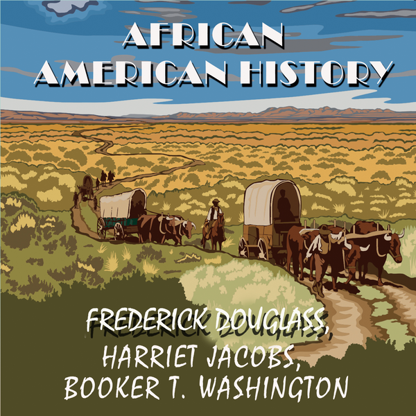 Аудиокнига «African American history», авторов Фредерик Дуглас, Харриет Энн Джейкобс, Букер Т. Вашингтон - фото №1