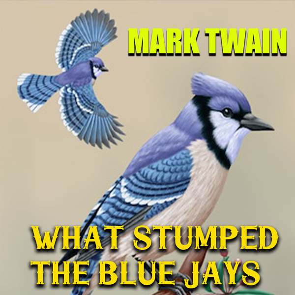 Аудиокнига «What Stumped the Blue Jays», автор Марк Твен - фото №1