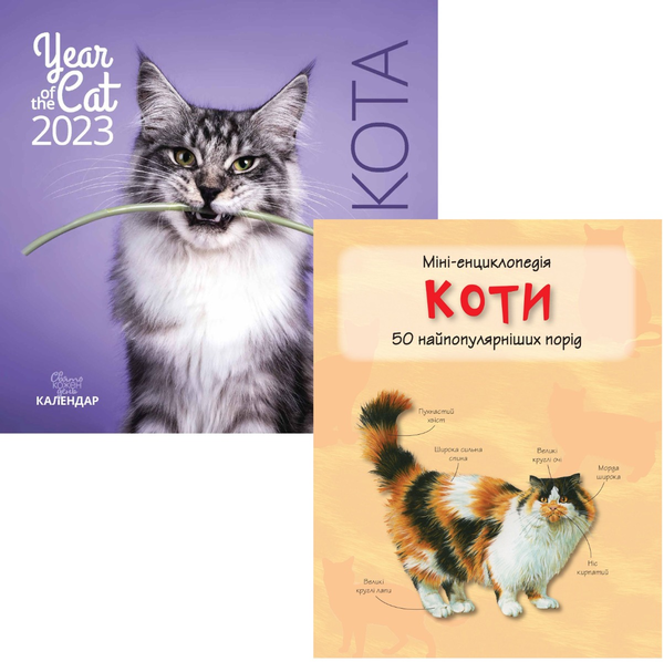Книга Комплект Рік кота (книга + календар)