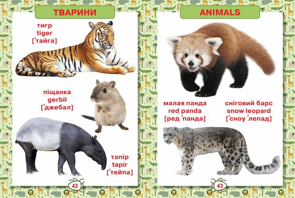 Бумажная книга «Перша енциклопедія тварин для малюків. Від 8 місяців до 5 років» - фото №1