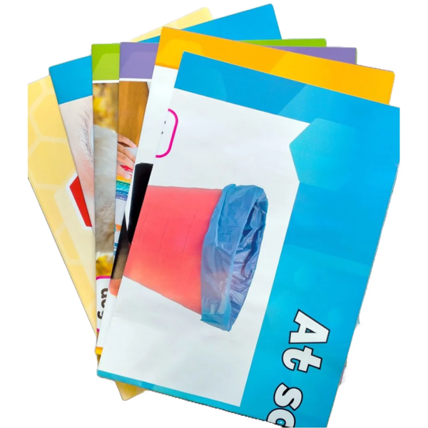 Бумажная книга «Beehive 1 Classroom Resources Pack» - фото №1