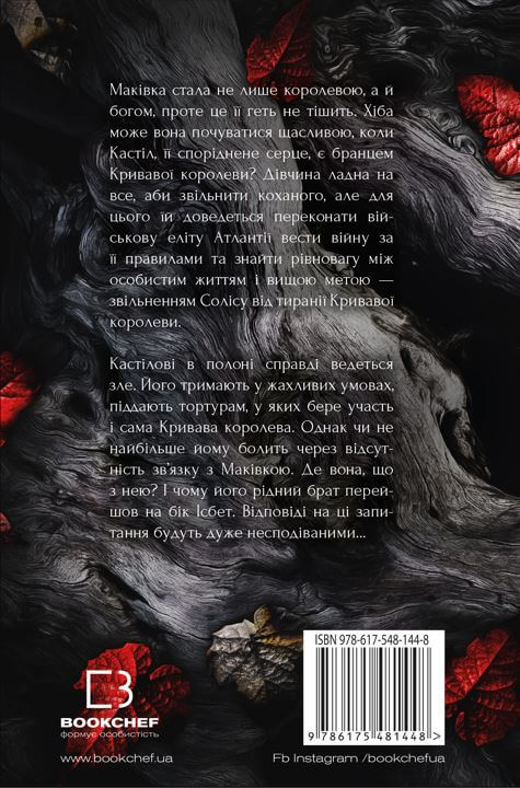 Бумажная книга «Кров і попіл (комплект із чотирьох книг)», автор Дженнифер Л. Арментраут - фото №1