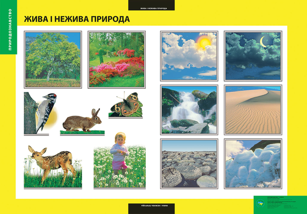 Книга Жива і нежива природа. Плакат