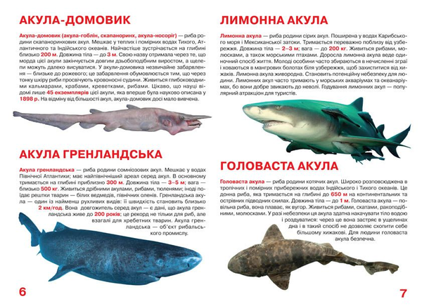 Бумажная книга «Велика книжка. Акули», автор Олег Завязкин - фото №1