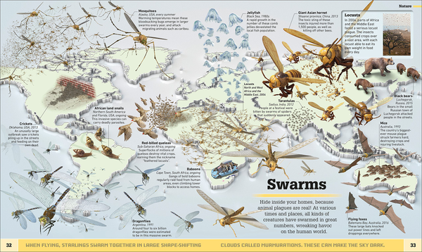 Паперова книга «What's Weird on Earth. Our strange world as you've never seen it before!» - фото №1