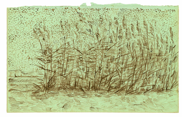 Бумажная книга «Vincent van Gogh. The Lost Arles Sketchbook», автор Богомила Уэлш-Овчаров - фото №1