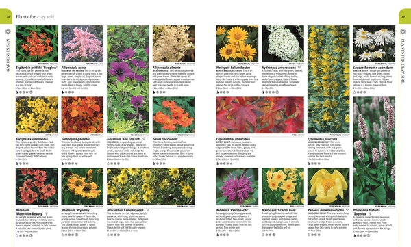 Бумажная книга «RHS What Plant Where Encyclopedia» - фото №1