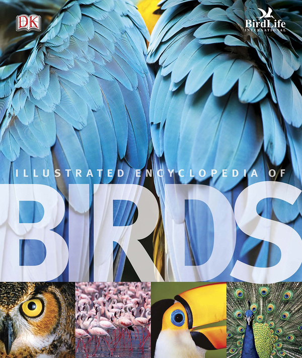 Бумажная книга «Illustrated Encyclopedia of Birds», автор Бен Хоар - фото №1