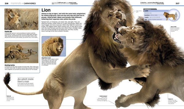 Паперова книга «Knowledge Encyclopedia Animal!» - фото №1