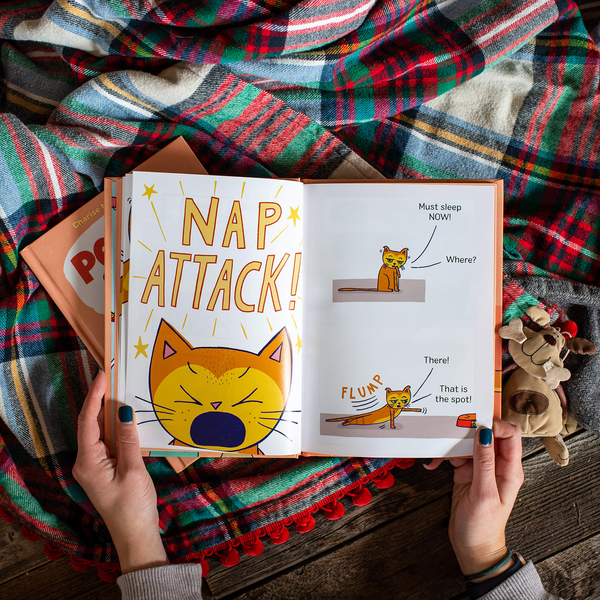 Бумажная книга «Pepper & Boo. A Cat Surprise!», автор Чариз Мерикль Харпер - фото №1