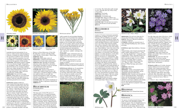 Паперова книга «RHS Encyclopedia Of Herbs» - фото №1