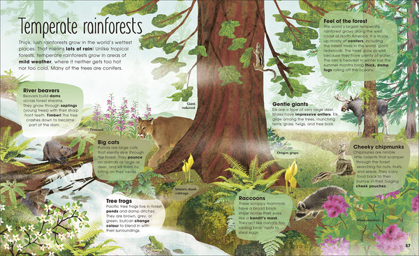 Бумажная книга «RHS The Magic and Mystery of Trees», автор Джен Грин - фото №1