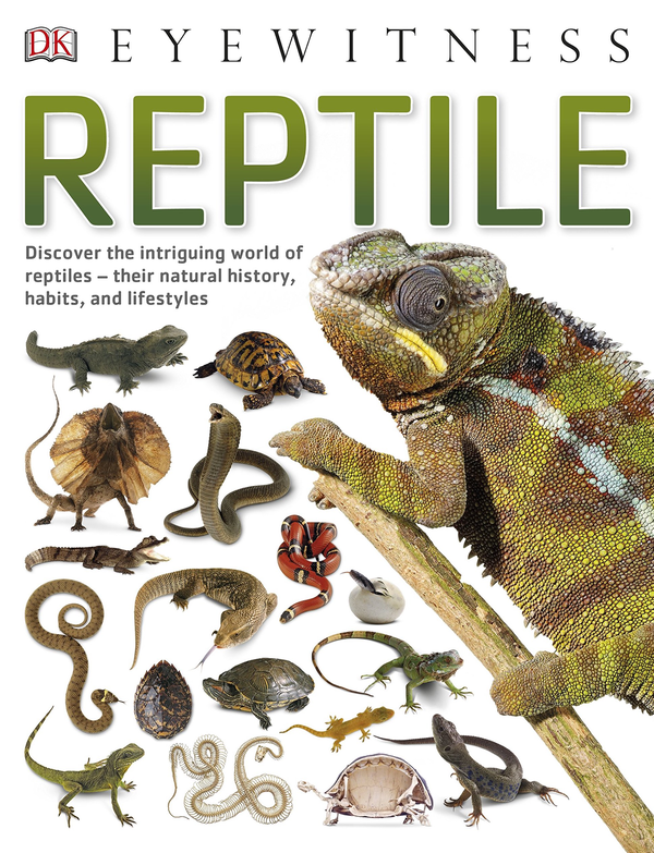 Бумажная книга «Reptile» - фото №1