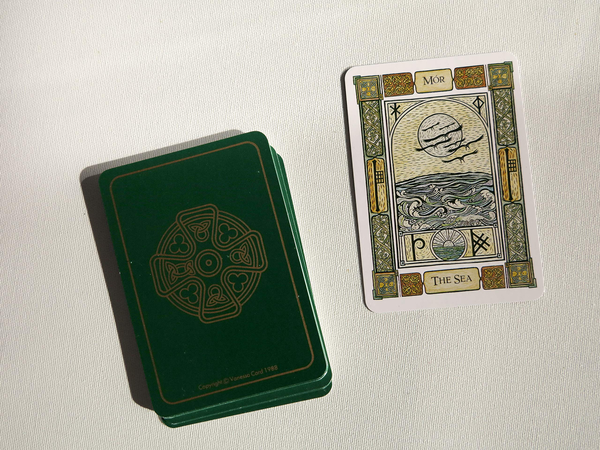 Бумажная книга «The Celtic Tree Oracle. A System of Divination», авторов Лиз Мюррей, Колин Мюррей - фото №1