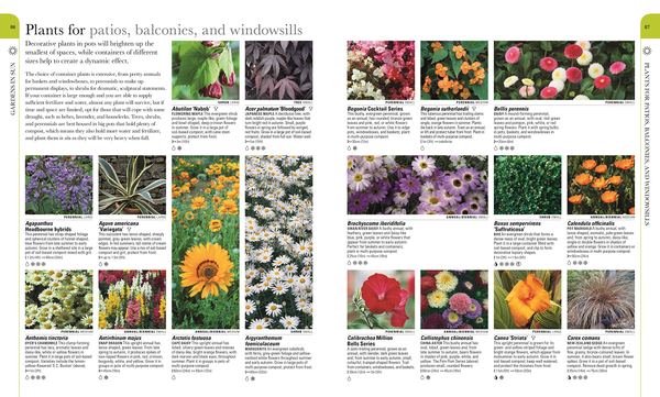 Бумажная книга «RHS What Plant Where Encyclopedia» - фото №1
