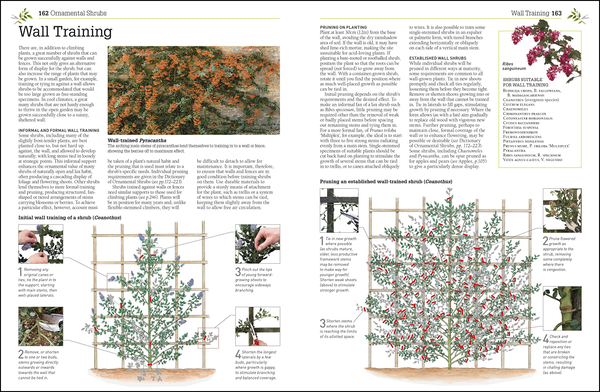 Бумажная книга «RHS Pruning & Training. Revised New Edition; Over 800 Plants; What, When, and How to Prune», авторов Кристофер Брикелл, Дэвид Джойс - фото №1