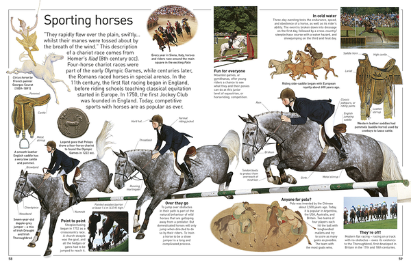 Паперова книга «Eyewitness. Horse», автор Джульєтта Клаттон-Брок - фото №1
