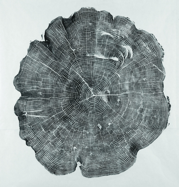 Паперова книга «Woodcut», автор Брайан Неш Гілл - фото №1